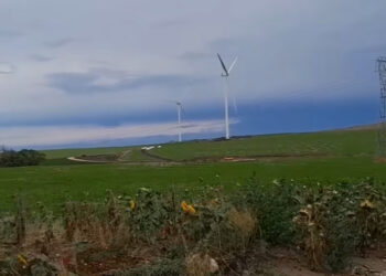El Intendente de Loberia y su par de Tandil visitaron los aerogenadores que se instalan en la zona