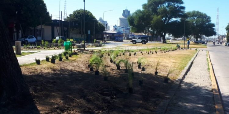 La nueva plaza del Barrio Puerto quedó forestada y faltan detalles para su inauguración