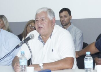 GUILLERMO MOSER. “Lo que está pasando hoy, es como comenzamos en la década del 90”