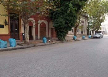 Numerosas cuadrillas municipales trabajan a diario para mantener limpia la vía pública