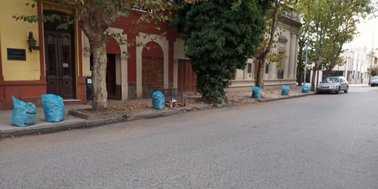 Numerosas cuadrillas municipales trabajan a diario para mantener limpia la vía pública