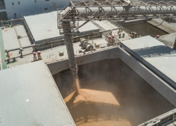 Viterra, seguida por Cargill y COFCO, en el podio exportador de granos y oleaginosas 2022/23