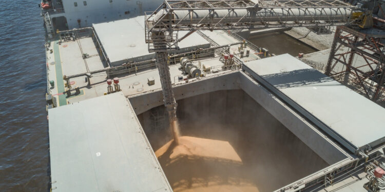 Viterra, seguida por Cargill y COFCO, en el podio exportador de granos y oleaginosas 2022/23