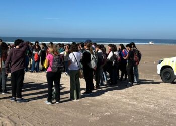“Conectando con la escuela y su entorno”, Dia Mundial de la Actividad Física