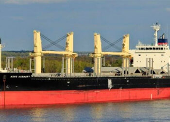 La bajante del Paraná seguirá varios meses y complicará las exportaciones de granos. Se incrementa la operatoria en Quequén