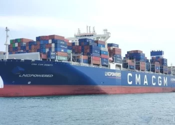 Ya opera en el puerto marplatense la naviera francesa CMA CGM