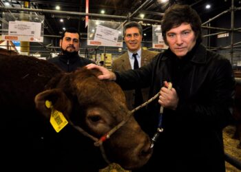 Milei en Rural prometió eliminar el cepo y las retensiones