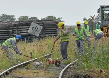 Malas noticias para el transporte ferroviario en el sudeste de la provincia de Buenos Aires. Dan de baja la licitación para mejorar las vías