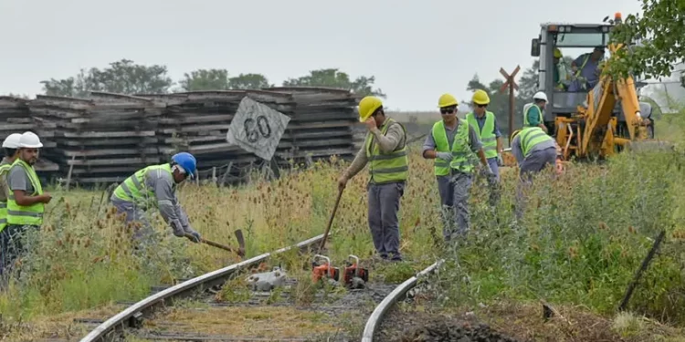Malas noticias para el transporte ferroviario en el sudeste de la provincia de Buenos Aires. Dan de baja la licitación para mejorar las vías