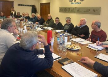 Referentes de las cooperativas eléctricas de la provincia se reunieron en Necochea