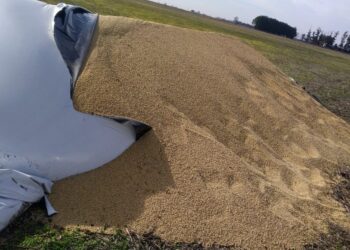 Regresa el ataque a los silo bolsas? Por Mario N. Tambascia