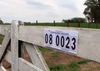 Regirá en toda la provincia el sistema de identificación de tranqueras. Por Mario Tambascia