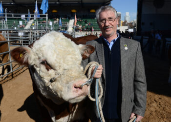“Dato mata relato”: anticipan que la Argentina podrá sortear sin problemas una exigencia de Europa para la carne