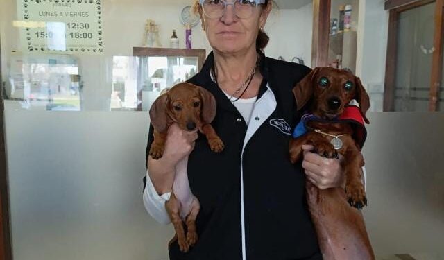 Celia Pintos y el Día del Veterinario: “Cada día se le da más importancia a la salud de nuestras mascotas”