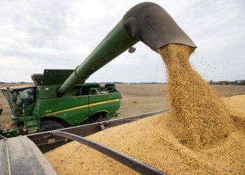 Se derrumba la soja y su precio es el más bajo de los últimos 18 años