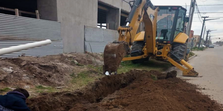 Intensas tareas del Emsur en los ejidos urbanos de Necochea y Quequén