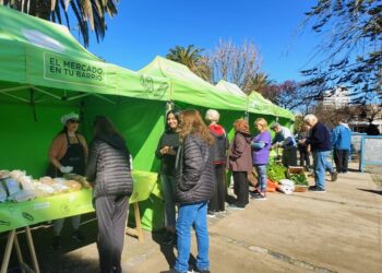 Con mucho movimiento de público, se realizó la primera edición de El Mercado en la Villa balnearia
