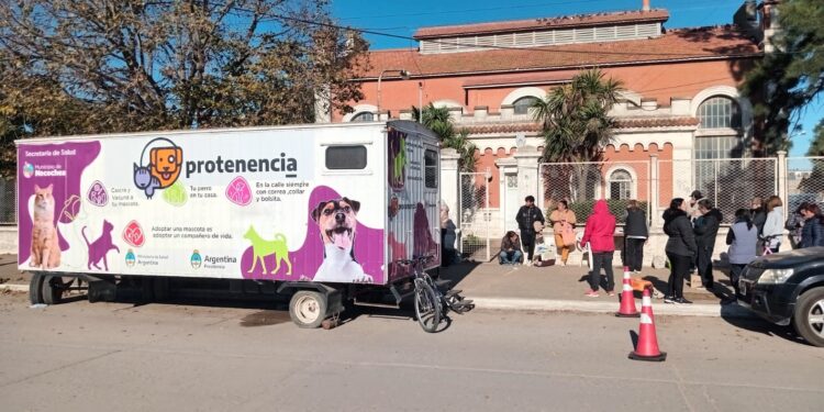 Este sábado se realizará una nueva jornada de Castración Masiva en Obras Sanitarias