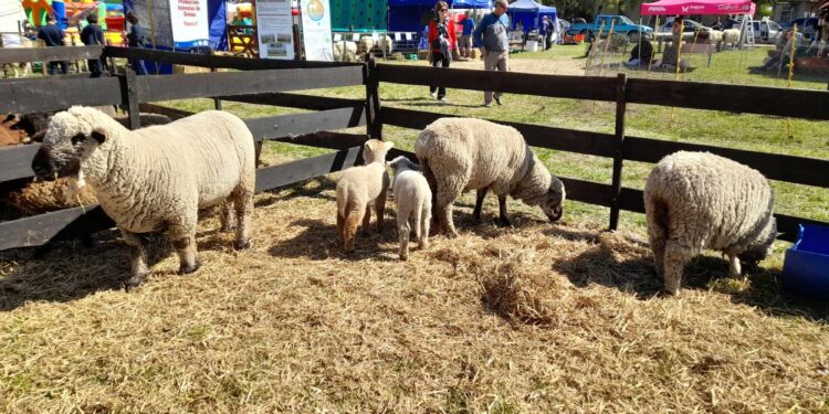 Ya está en marcha la EducoAgro 2024
