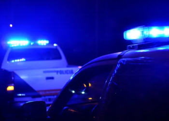 Estaba preso por abuso sexual, salió en libertad condicional, atacó a su mujer, mató a su perro y quedó nuevamente detenido