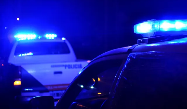 Estaba preso por abuso sexual, salió en libertad condicional, atacó a su mujer, mató a su perro y quedó nuevamente detenido