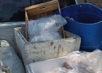 Bromatología refuerza operativos para controlar mercadería comercializada en el distrito