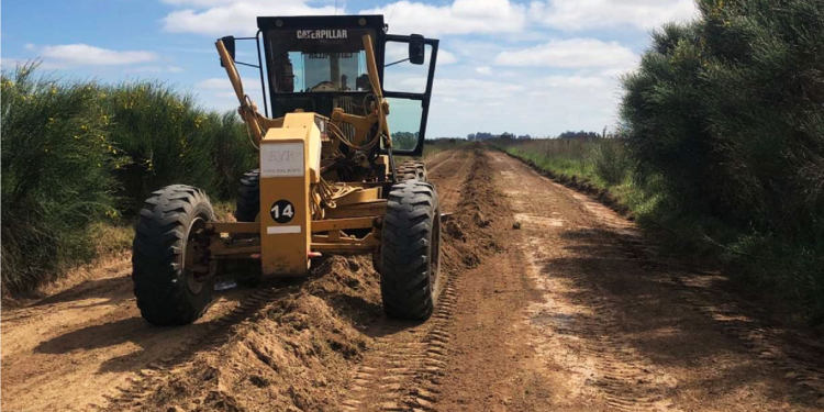 La cosecha fina se aproxima y el Emsur redobla tareas para asegurar el paso de la producción