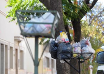 La recolección domiciliaria de residuos se verá afectada por el paro de transporte
