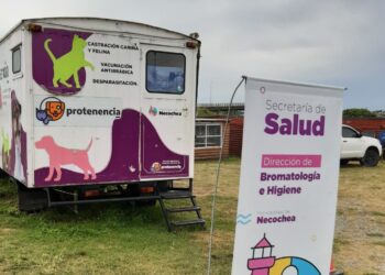 Se realizó el operativo de castración masiva en el Barrio Puerto