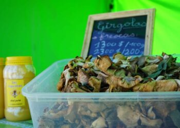 El Mercado vuelve a la Plaza San Martín con todas sus ofertas de producción local