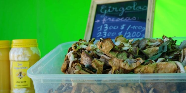 El Mercado vuelve a la Plaza San Martín con todas sus ofertas de producción local