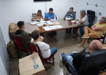 Seis empresas se presentaron a la licitación por la compra de artefactos de iluminación