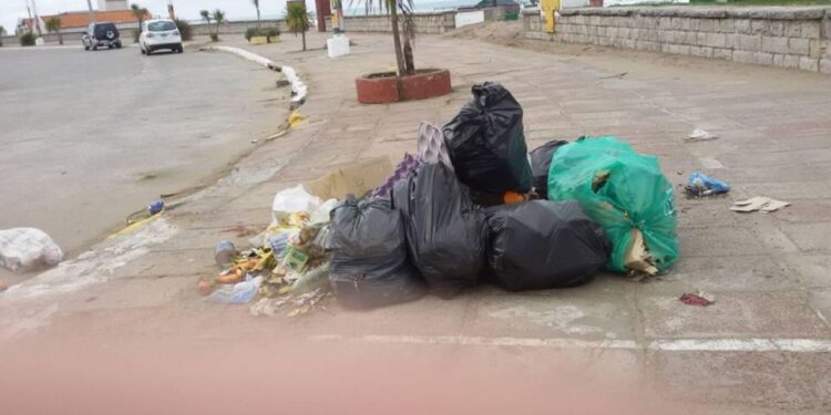 El servicio de recolección de residuos cambiará su horario durante el verano