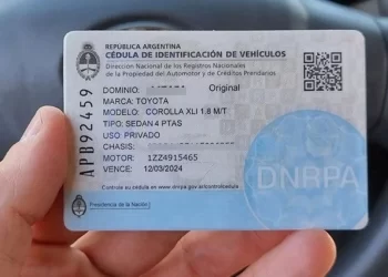 Ya es oficial la nueva “cédula azul”: cómo habilitar a un conductor con la app Mi Argentina