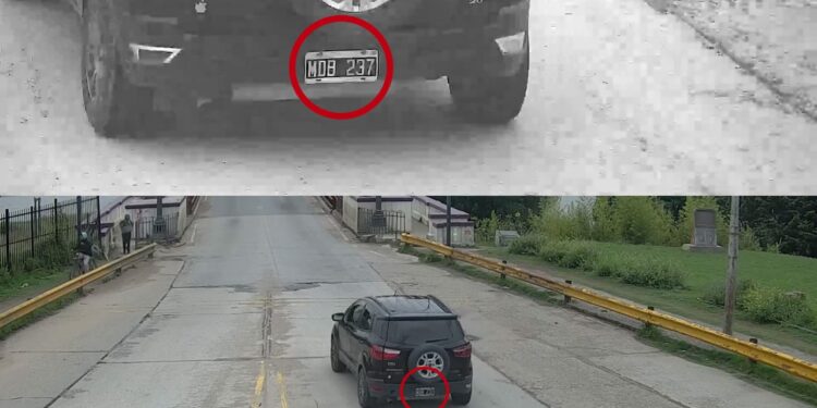 Mediante el sistema de lectora de dominios se esclareció un robo en el Anfiteatro