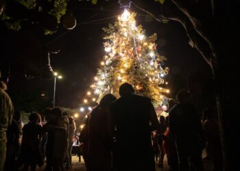 Expo Navideña y encendido del Arbolito en la Plaza Dardo Rocha