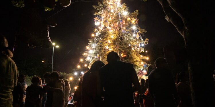 Expo Navideña y encendido del Arbolito en la Plaza Dardo Rocha