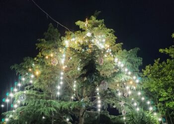 Este miércoles, Quequén enciende las luces de su Árbol de Navidad