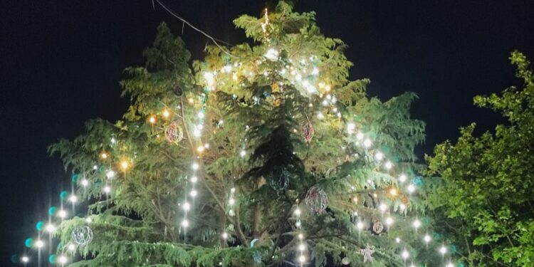Este miércoles, Quequén enciende las luces de su Árbol de Navidad