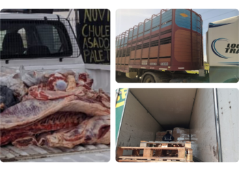 Por falta de sellos, Bromatología secuestró más de 400 kilos de carne
