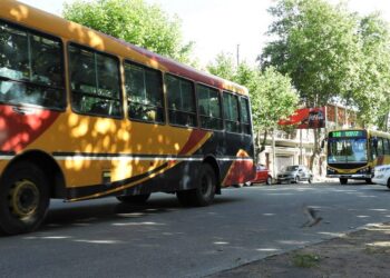 Así funcionará el servicio de transporte urbano durante el fin de semana