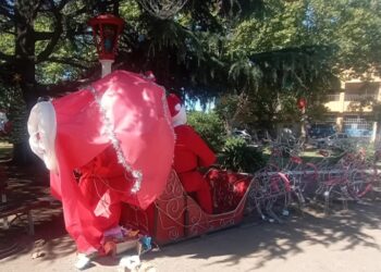 Silvia Jensen: Vandalismo al árbol de Navidad