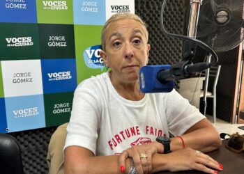 Andrea Perestiuk “El estado nacional abandonó la salud pública”