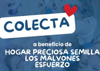 Verónica Posse: Colecta de alimentos no perecederos