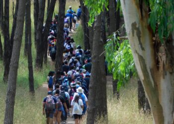 Necochea será sede del Campamento Nacional de scouts “Punto Sur”