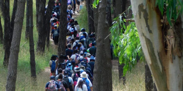 Necochea será sede del Campamento Nacional de scouts “Punto Sur”