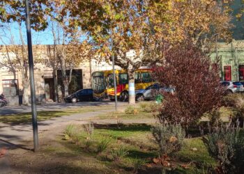 Menores de 10 años podrán utilizar el transporte de manera gratuita para llegar hasta el Festivalódromo