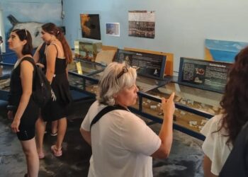 Notable respuesta del público visitante a la propuesta del Área de Museos