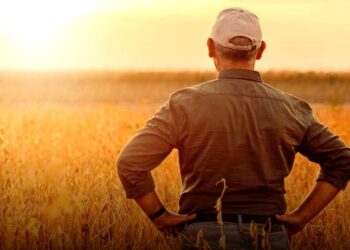 El 2024 dejó a los productores agropecuarios con “números en rojo”
