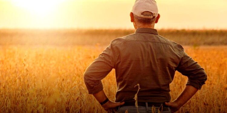 El 2024 dejó a los productores agropecuarios con “números en rojo”